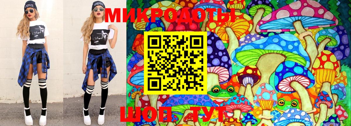 Галлюциногенные грибы Psilocybe Карачаевск