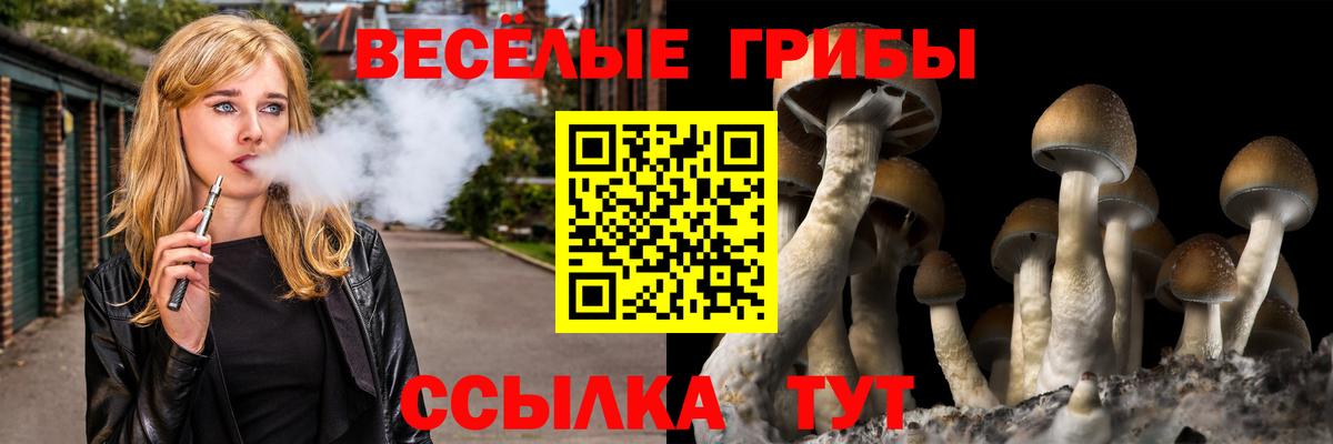 Карачаевск  дарнет шоп  Галлюциногенные грибы Cubensis  Вход с VPN  Псилоцибиновые грибы ЛСД 